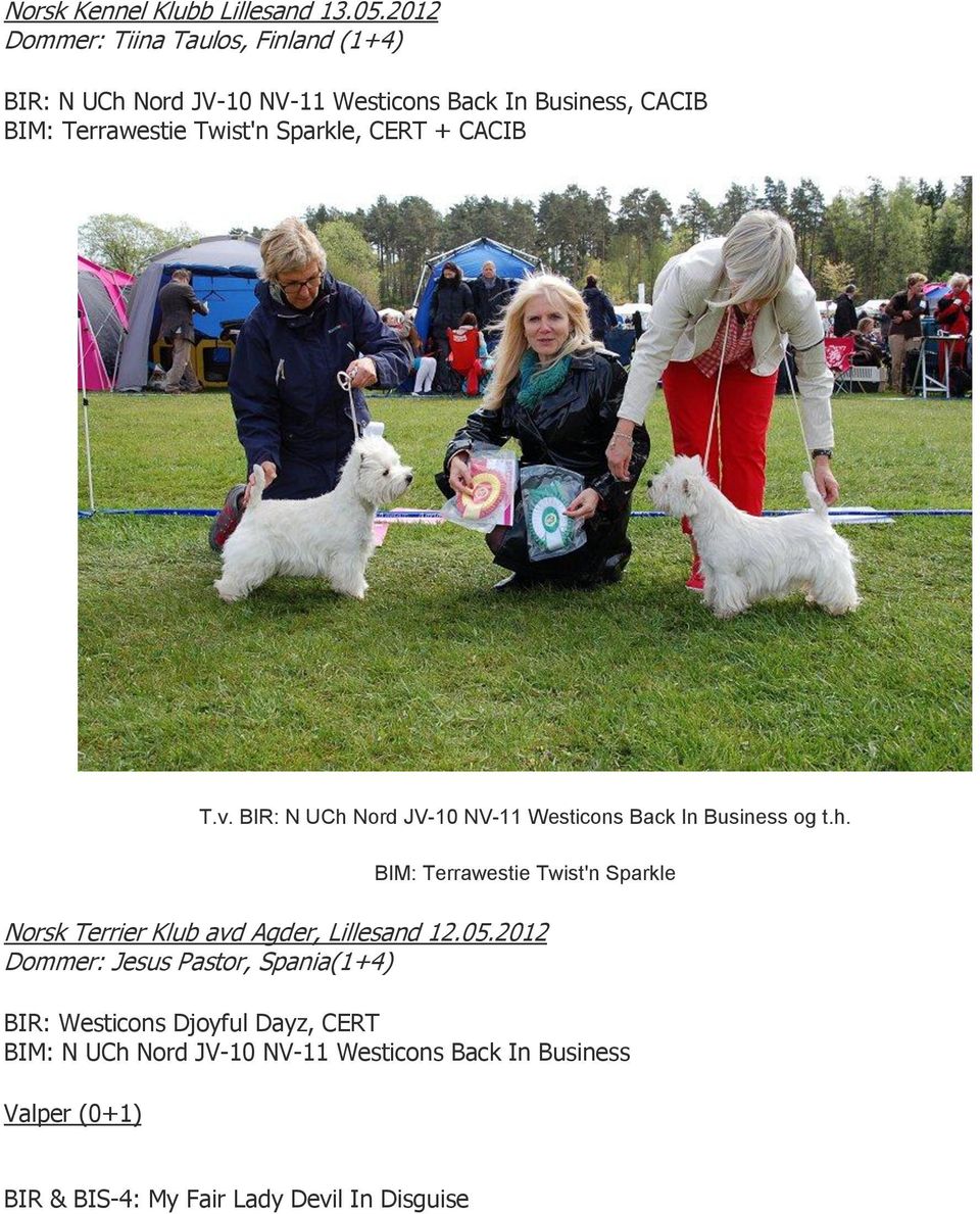 Sparkle, CERT + CACIB T.v. BIR: N UCh Nord JV-10 NV-11 Westicons Back In Business og t.h. BIM: Terrawestie Twist'n Sparkle Norsk Terrier Klub avd Agder, Lillesand 12.