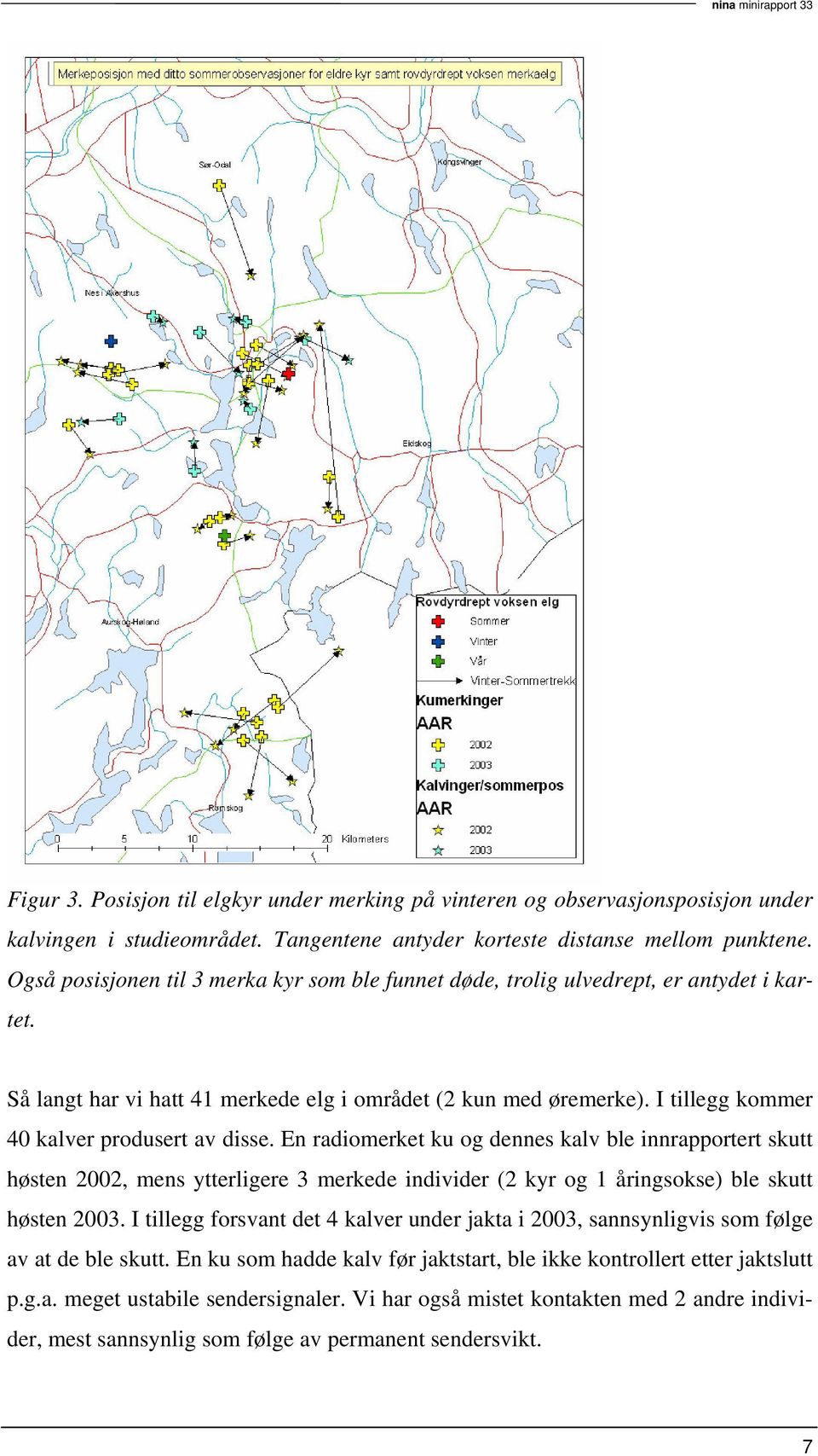 I tillegg kommer 40 kalver produsert av disse. En radiomerket ku og dennes kalv ble innrapportert skutt høsten 2002, mens ytterligere 3 merkede individer (2 kyr og 1 åringsokse) ble skutt høsten 2003.