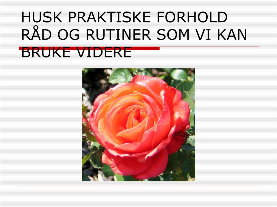 RUTINER SOM VI