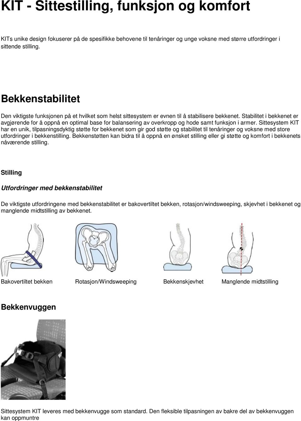 Stabilitet i bekkenet er avgjørende for å oppnå en optimal base for balansering av overkropp og hode samt funksjon i armer.