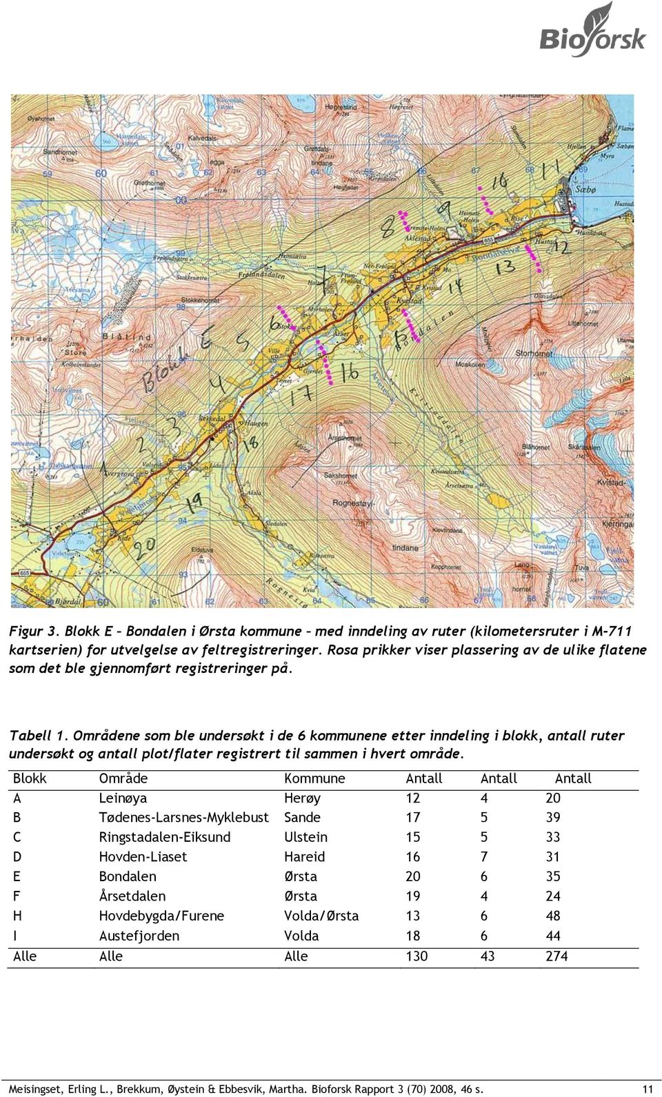 Områdene som ble undersøkt i de 6 kommunene etter inndeling i blokk, antall ruter undersøkt og antall plot/flater registrert til sammen i hvert område.