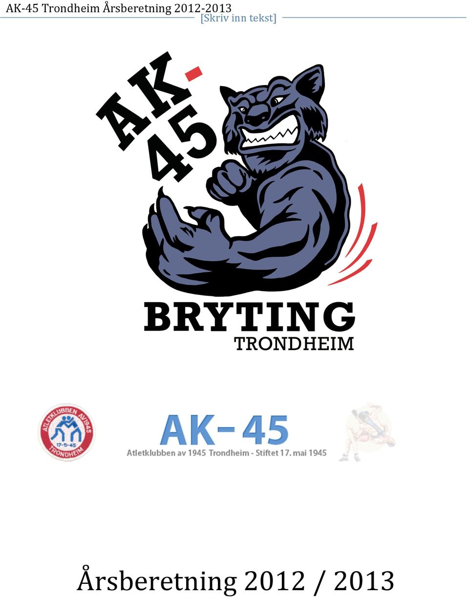 2012-2013 AK- 45