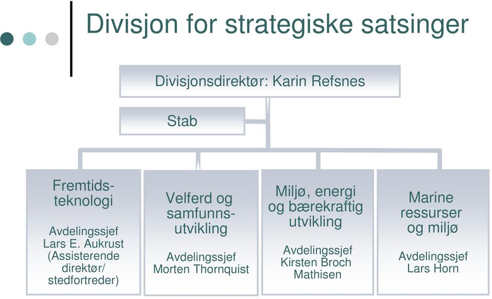 Aukrust (Assisterende direktør/ stedfortreder) Velferd og