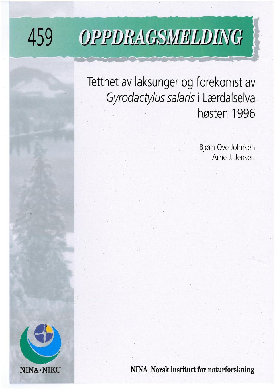 høsten 1996 Bjørn Ove Johnsen Arne J.