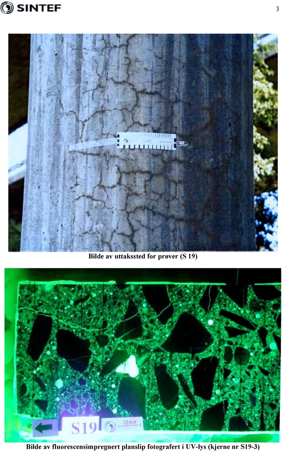 fluorescensimpregnert