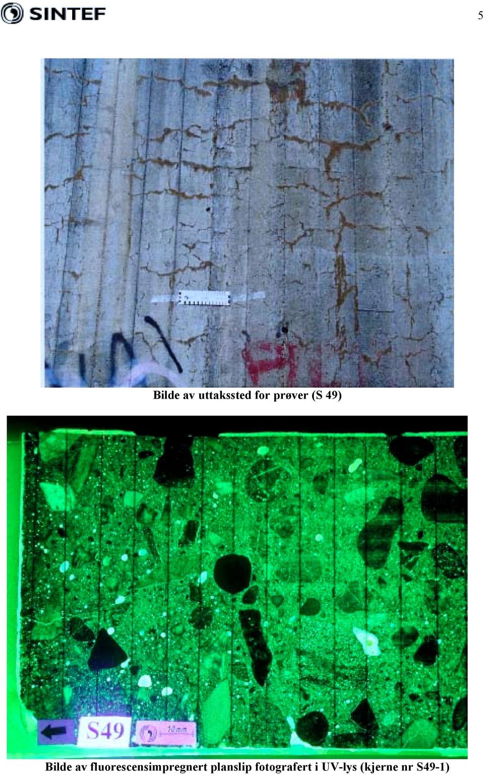 fluorescensimpregnert