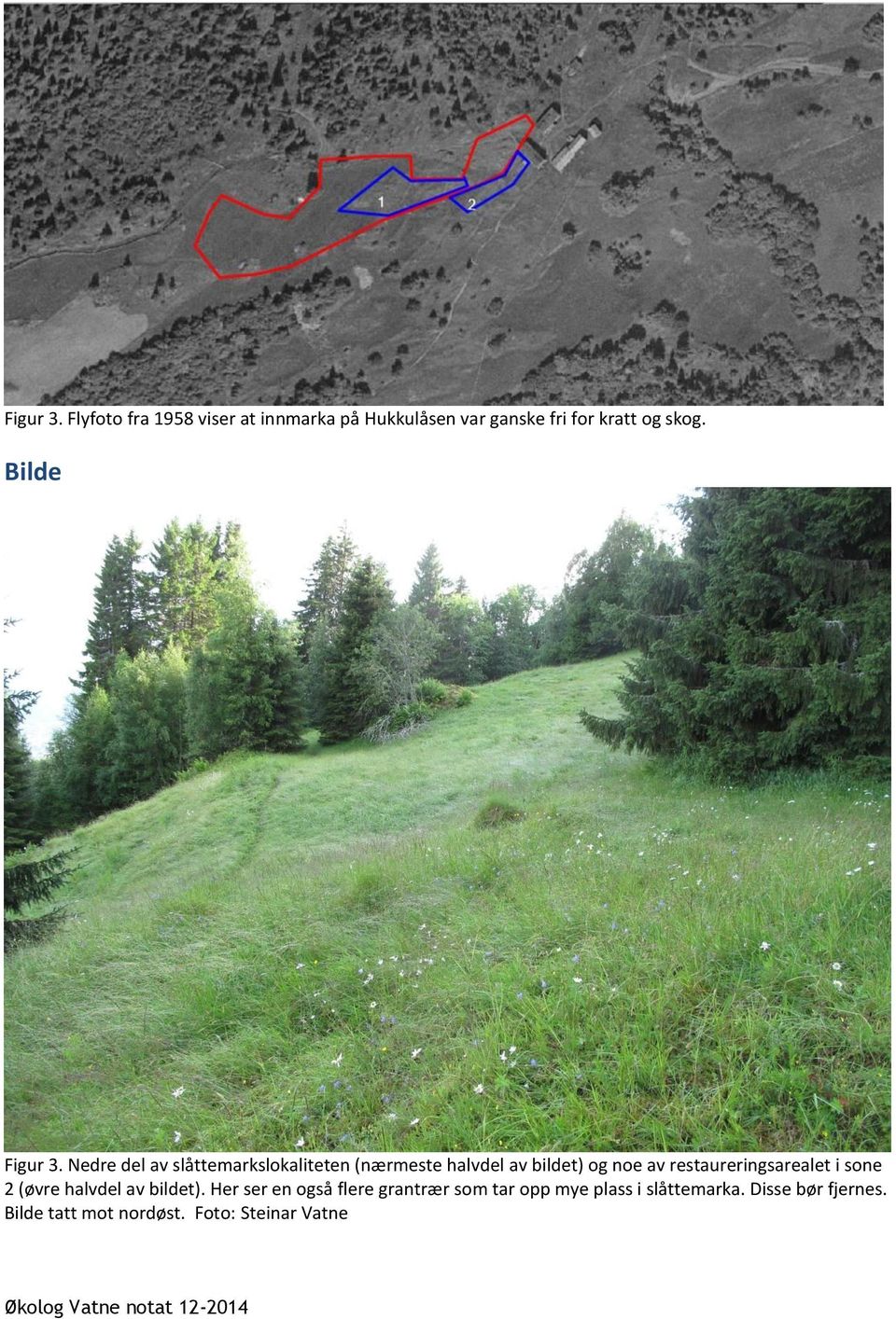 Nedre del av slåttemarkslokaliteten (nærmeste halvdel av bildet) og noe av restaureringsarealet i