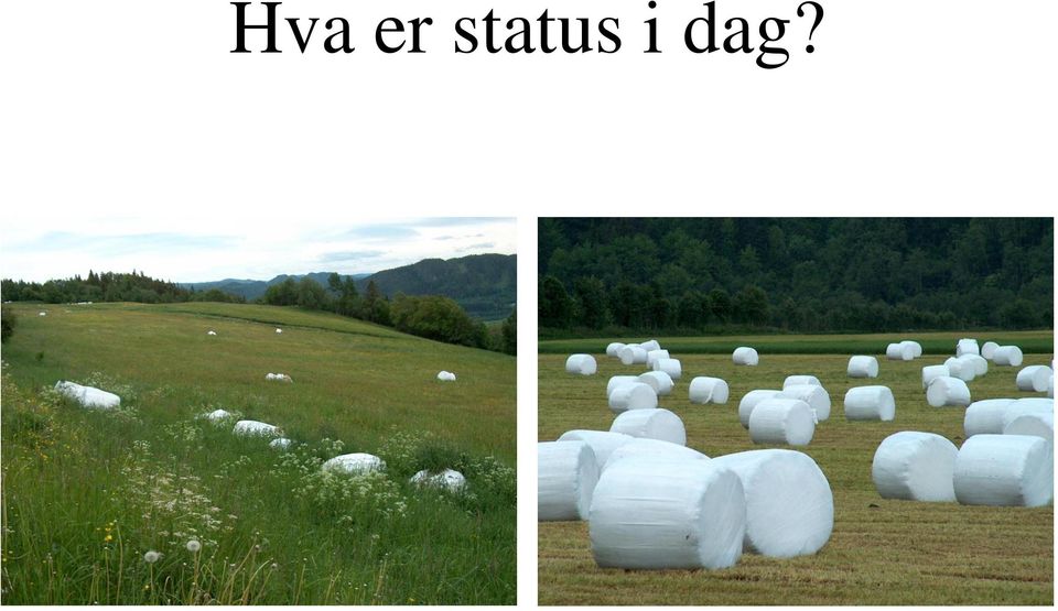 dag?