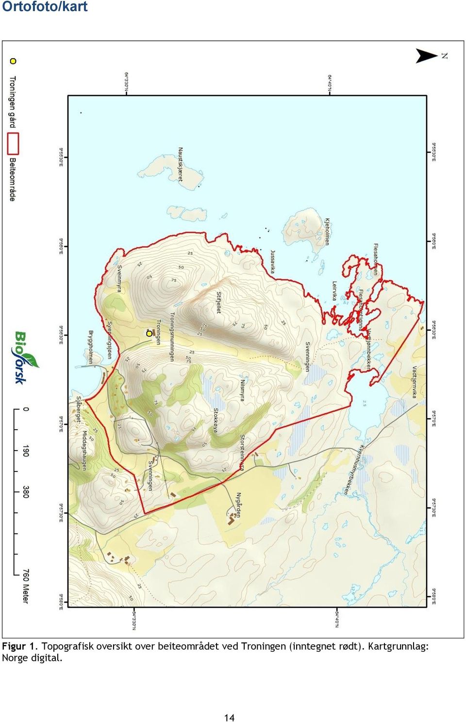 beiteområdet ved Troningen