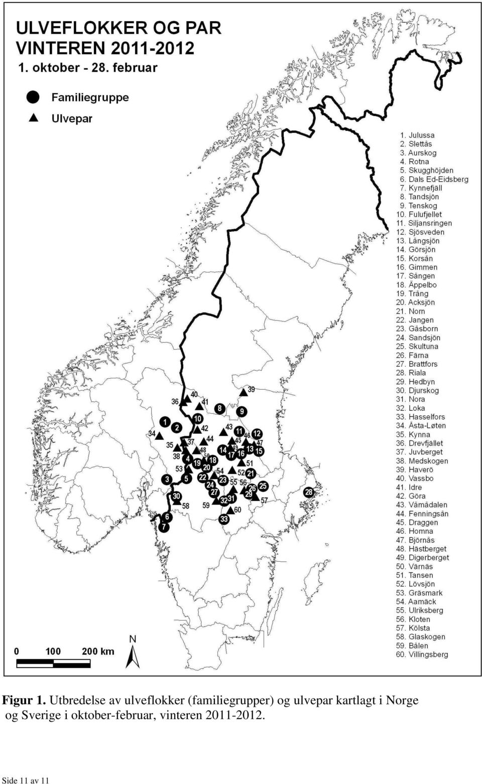 (familiegrupper) og ulvepar