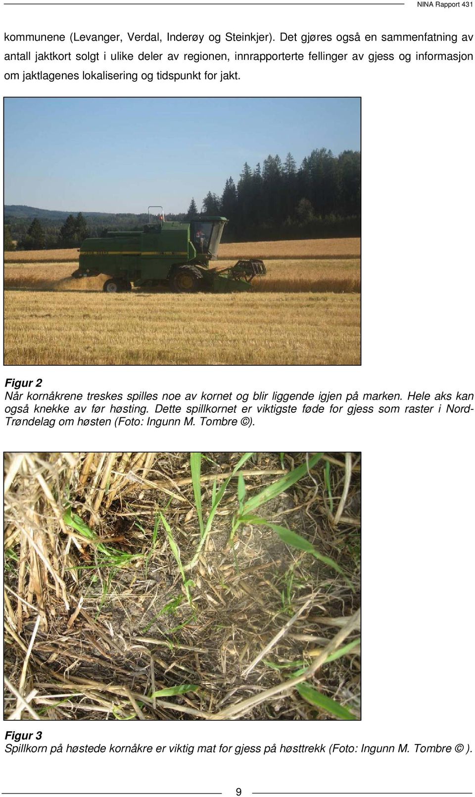 jaktlagenes lokalisering og tidspunkt for jakt. Figur 2 Når kornåkrene treskes spilles noe av kornet og blir liggende igjen på marken.