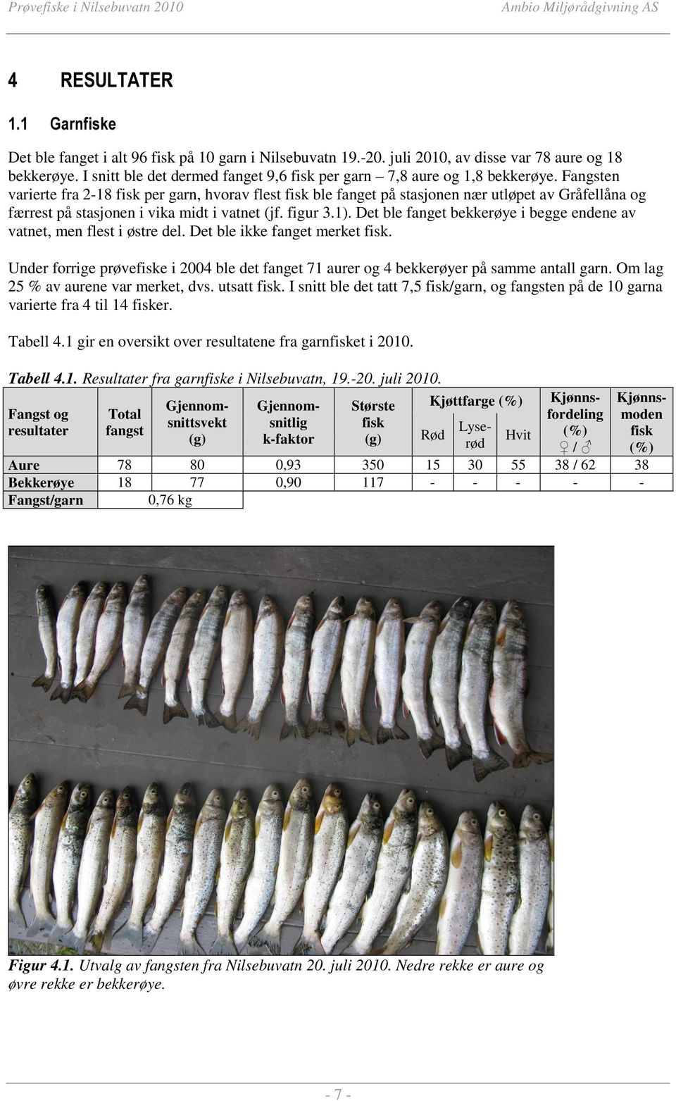 Fangsten varierte fra 2-18 fisk per garn, hvorav flest fisk ble fanget på stasjonen nær utløpet av Gråfellåna og færrest på stasjonen i vika midt i vatnet (jf. figur 3.1).