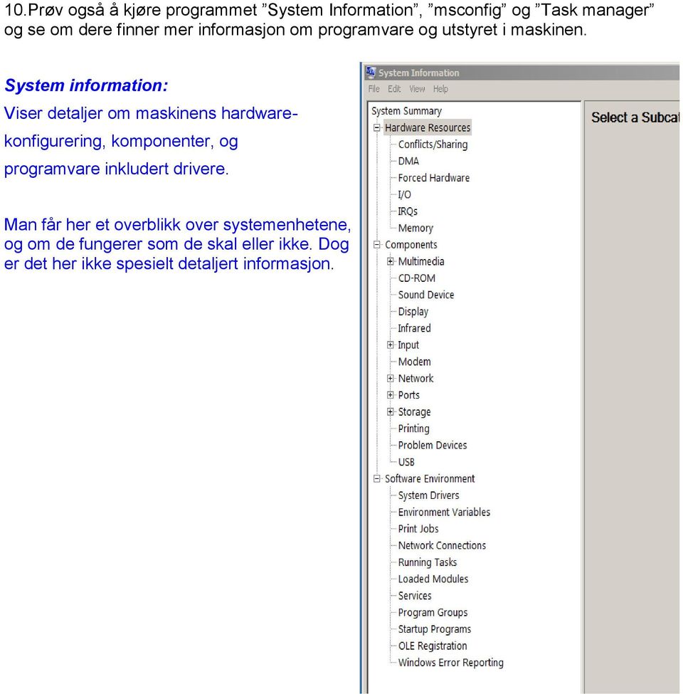 System information: Viser detaljer om maskinens hardwarekonfigurering, komponenter, og programvare