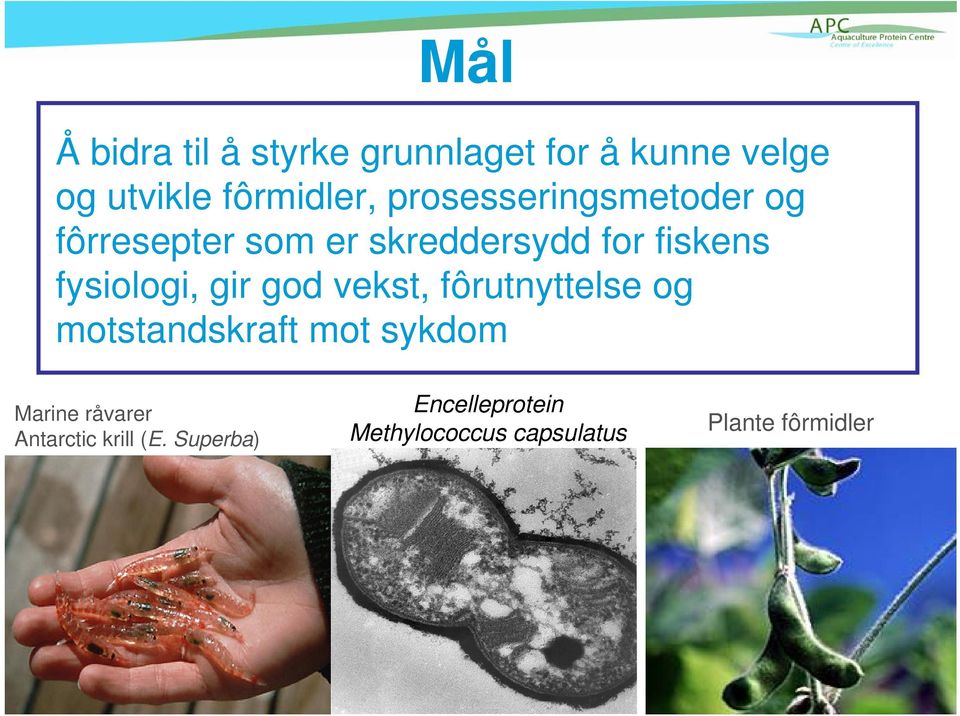 gir god vekst, fôrutnyttelse og motstandskraft mot sykdom Marine råvarer