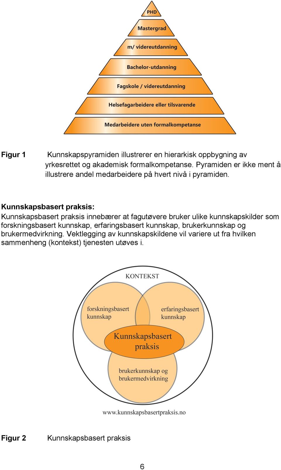 Kunnskapsbasert praksis: Kunnskapsbasert praksis innebærer at fagutøvere bruker ulike kunnskapskilder som forskningsbasert