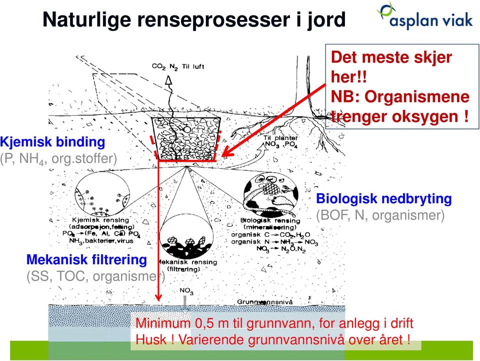 Biologisk nedbryting (BOF, N, organismer) Mekanisk filtrering (SS, TOC,