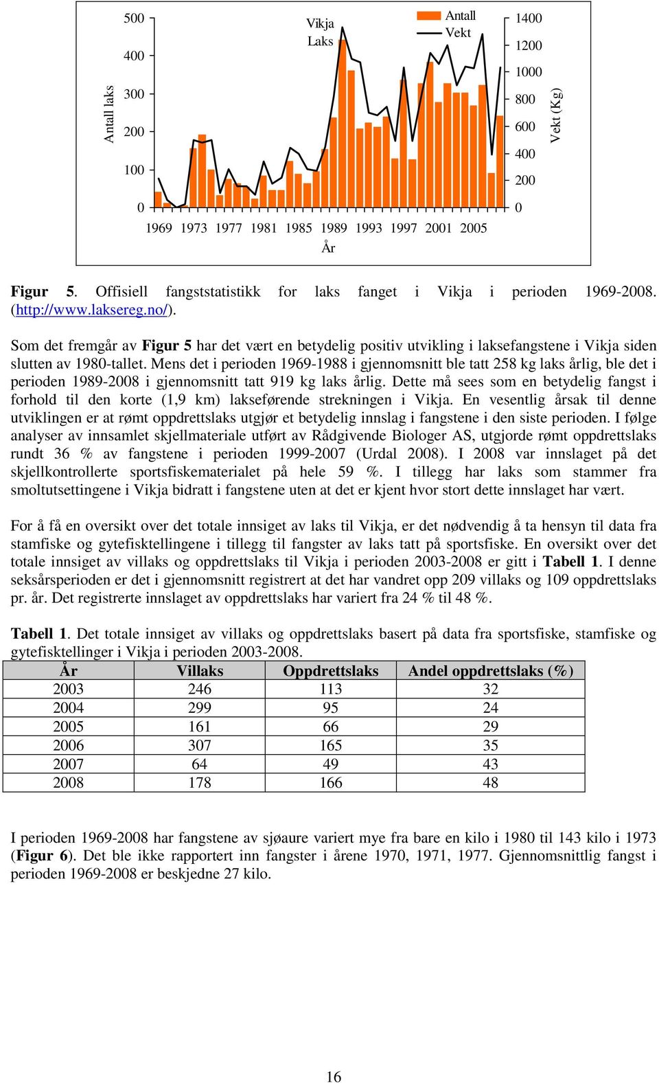 Som det fremgår av Figur 5 har det vært en betydelig positiv utvikling i laksefangstene i Vikja siden slutten av 198-tallet.