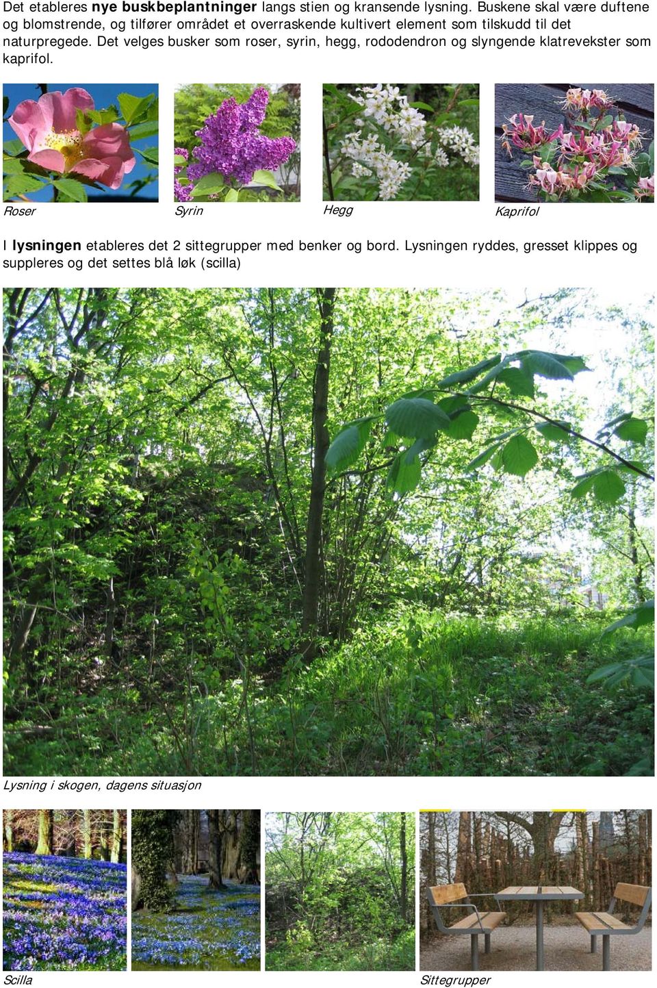 naturpregede. Det velges busker som roser, syrin, hegg, rododendron og slyngende klatrevekster som kaprifol.