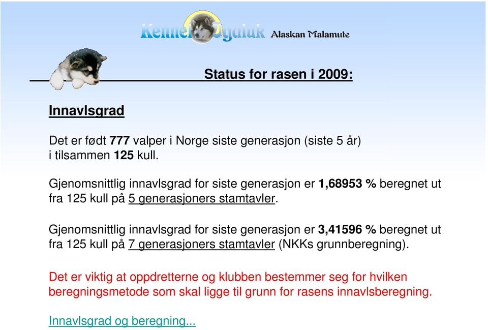 Gjenomsnittlig innavlsgrad for siste generasjon er 3,41596 % beregnet ut fra 125 kull på 7 generasjoners stamtavler (NKKs