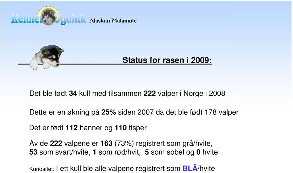 2008 Det er født 112 hanner og 110 tisper En del av valpene er registrert hos NKK flere måneder inne i 2009 Tallene Av de 222 inkluderer