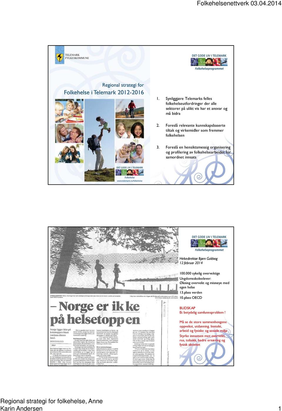 Foreslå en hensiktsmessig organisering og profilering av folkehelsearbeidet for samordnet innsats Helsedirektør Bjørn Guldvog 12.februar 2014 100.