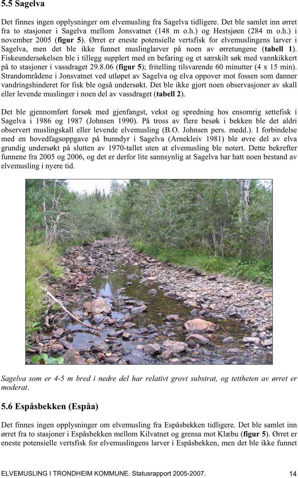 Fiskeundersøkelsen ble i tillegg supplert med en befaring og et særskilt søk med vannkikkert på to stasjoner i vassdraget 29.8.06 (figur 5); fritelling tilsvarende 60 minutter (4 x 15 min).