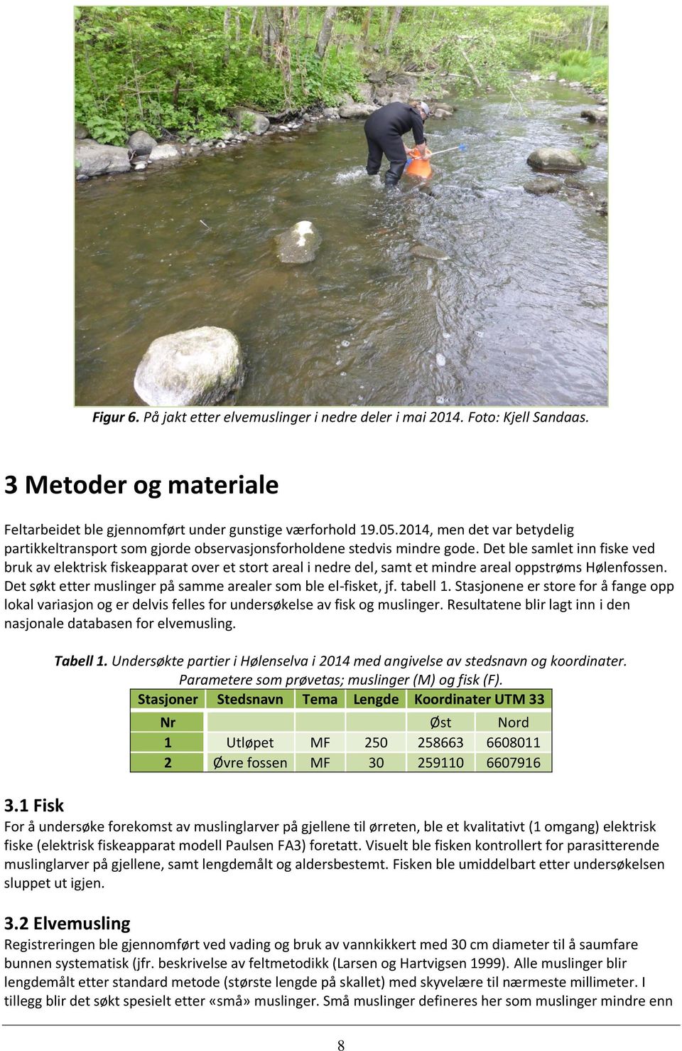 Det ble samlet inn fiske ved bruk av elektrisk fiskeapparat over et stort areal i nedre del, samt et mindre areal oppstrøms Hølenfossen.