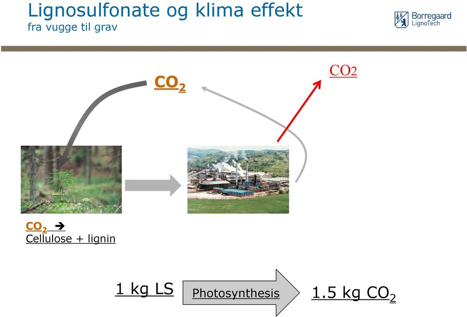 2 CO2 CO 2 Cellulose + lignin