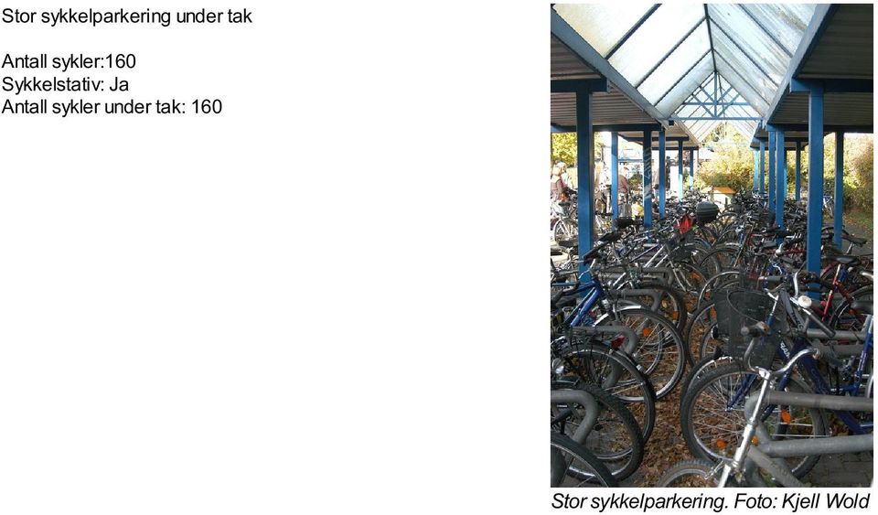 sykler under tak: 160 Stor