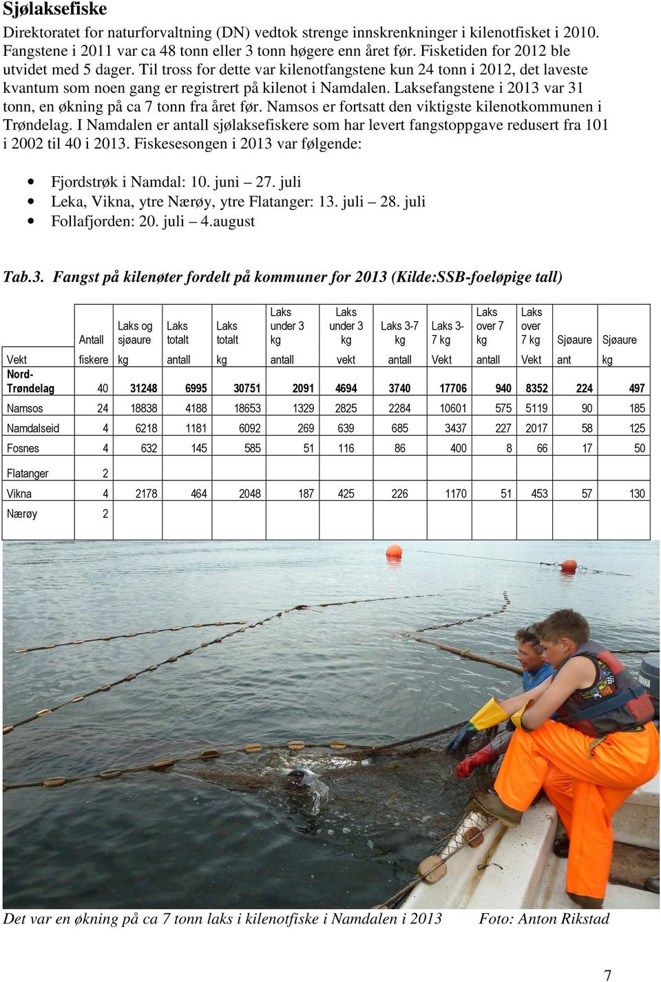 Laksefangstene i 2013 var 31 tonn, en økning på ca 7 tonn fra året før. Namsos er fortsatt den viktigste kilenotkommunen i Trøndelag.
