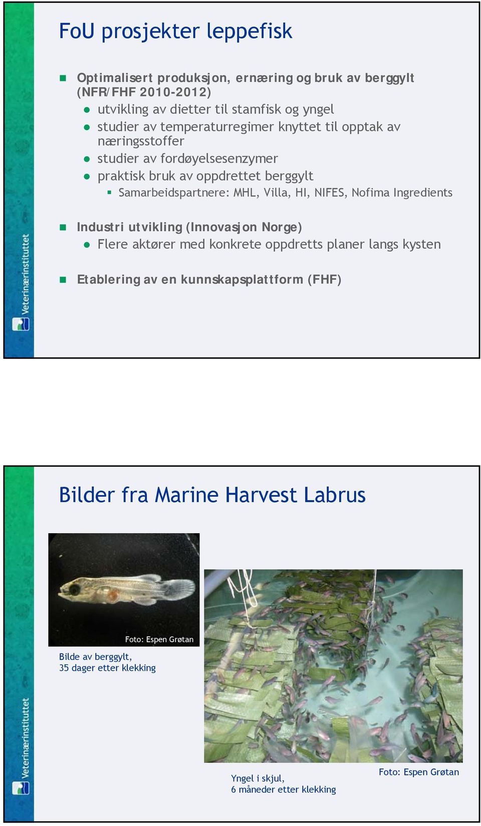 HI, NIFES, Nofima Ingredients Industri utvikling (Innovasjon Norge) Flere aktører med konkrete oppdretts planer langs kysten Etablering av en