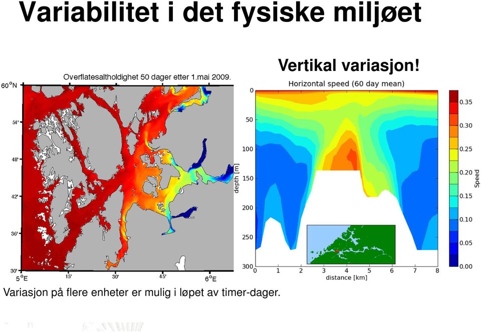 Variasjon på flere enheter