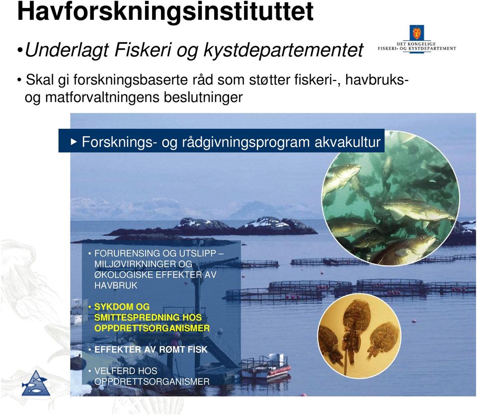 rådgivningsprogram akvakultur FORURENSING OG UTSLIPP MILJØVIRKNINGER OG ØKOLOGISKE EFFEKTER AV