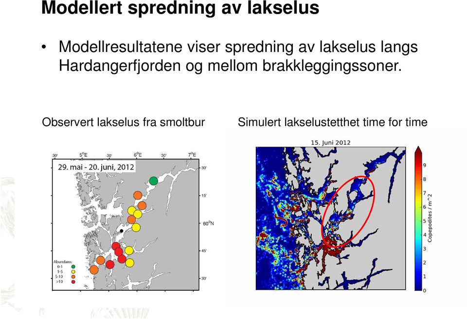 og mellom brakkleggingssoner.