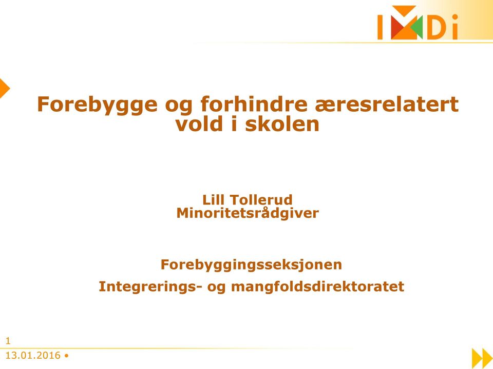 Minoritetsrådgiver