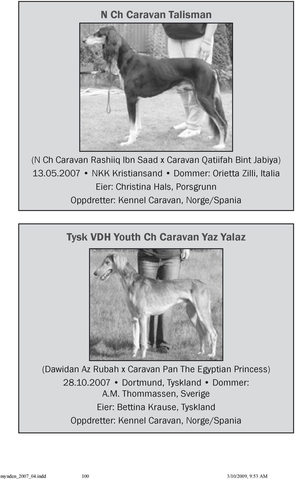 Norge/Spania Tysk VDH Youth Ch Caravan Yaz Yalaz (Dawidan Az Rubah x Caravan Pan The Egyptian Princess) 28.10.