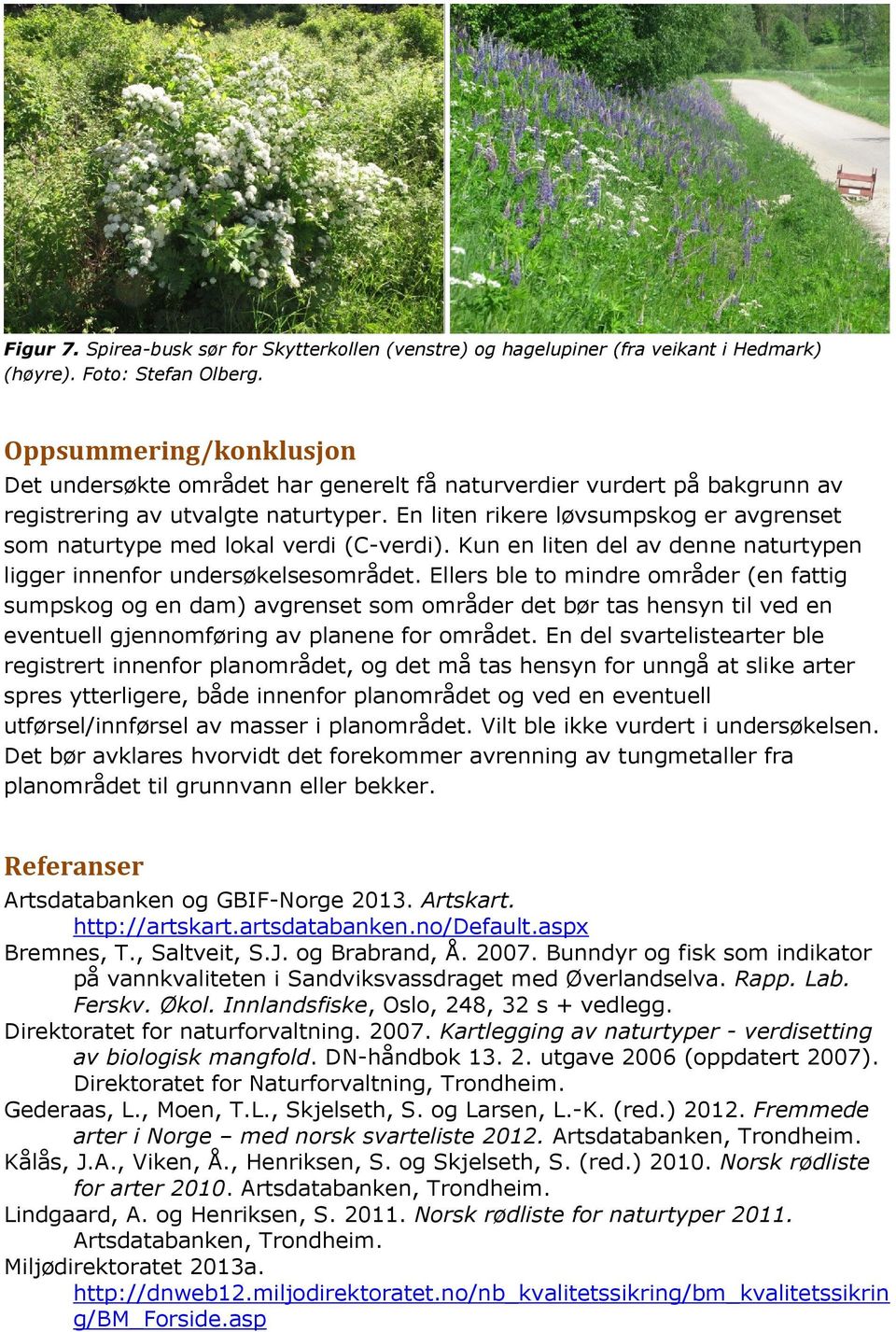 En liten rikere løvsumpskog er avgrenset som naturtype med lokal verdi (C-verdi). Kun en liten del av denne naturtypen ligger innenfor undersøkelsesområdet.