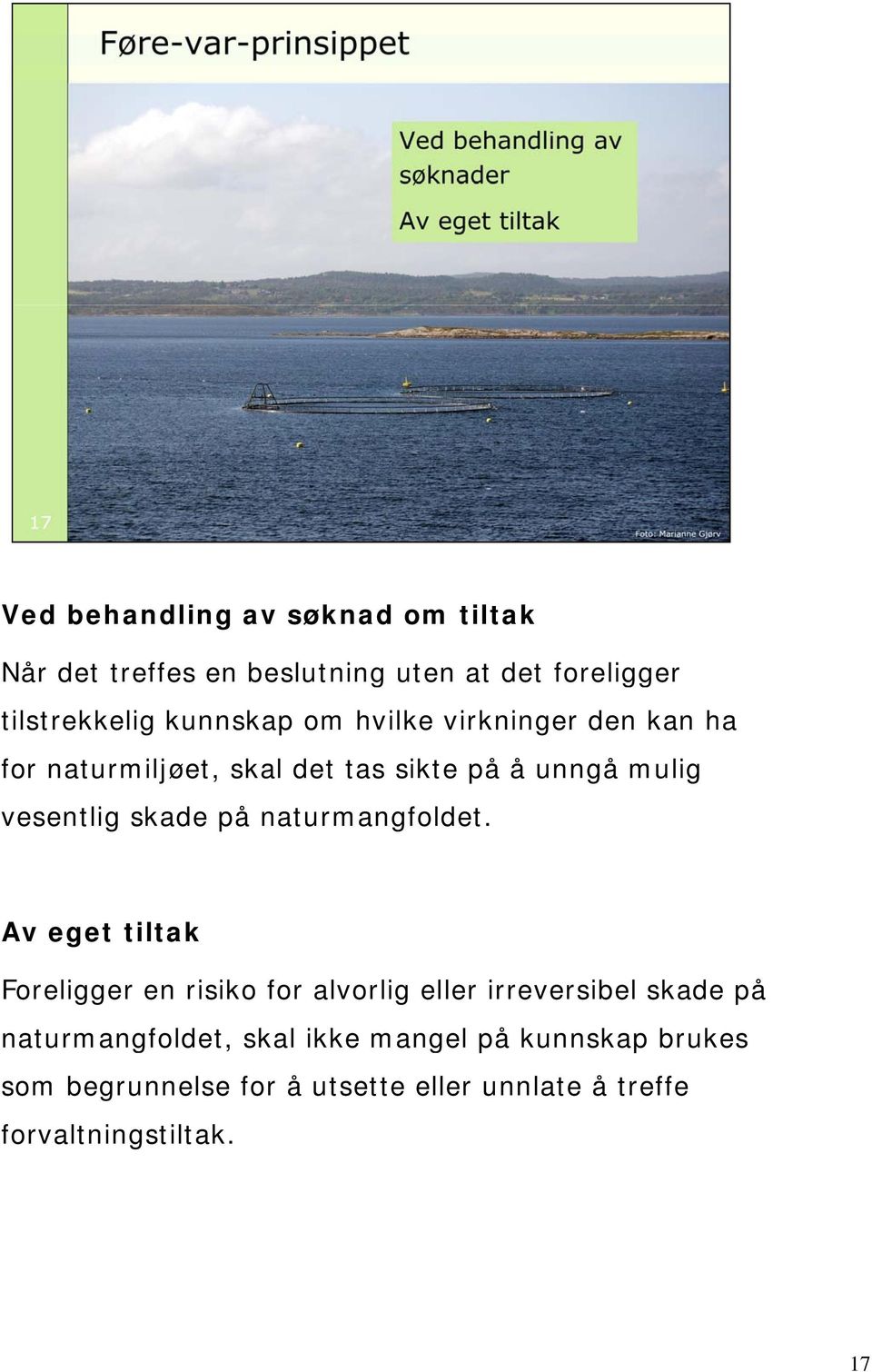 skade på naturmangfoldet.