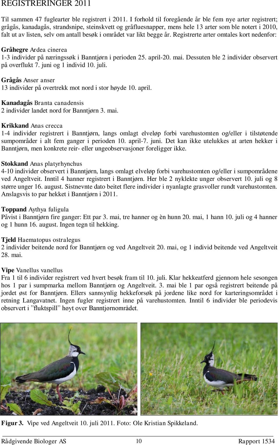 besøk i området var likt begge år. Registrerte arter omtales kort nedenfor: Gråhegre Ardea cinerea 1-3 individer på næringssøk i Banntjørn i perioden 25. april-20. mai.