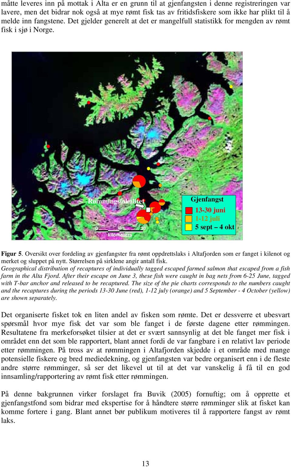 Oversikt over fordeling av gjenfangster fra rømt oppdrettslaks i Altafjorden som er fanget i kilenot og merket og sluppet på nytt. Størrelsen på sirklene angir antall fisk.