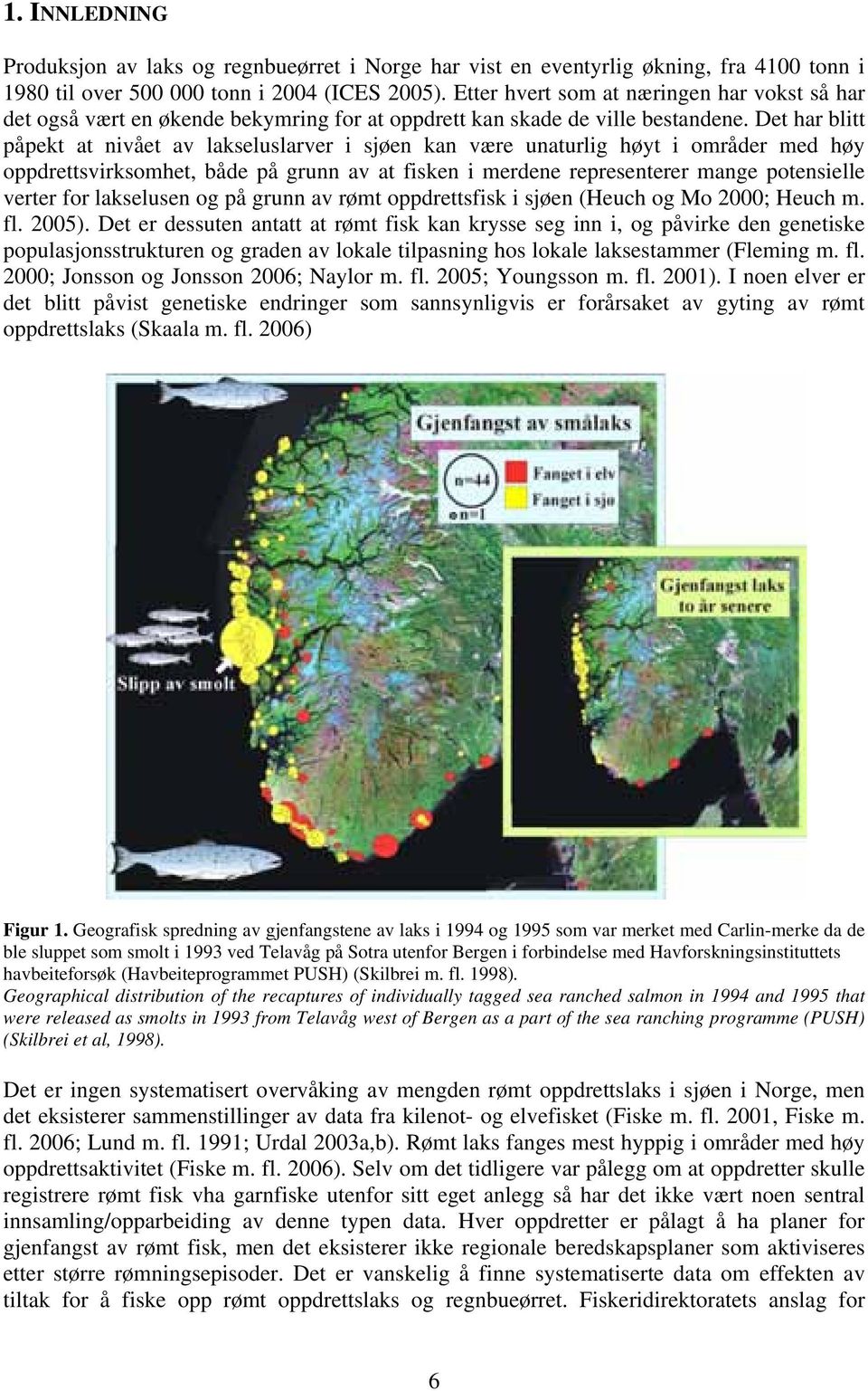 Det har blitt påpekt at nivået av lakseluslarver i sjøen kan være unaturlig høyt i områder med høy oppdrettsvirksomhet, både på grunn av at fisken i merdene representerer mange potensielle verter for