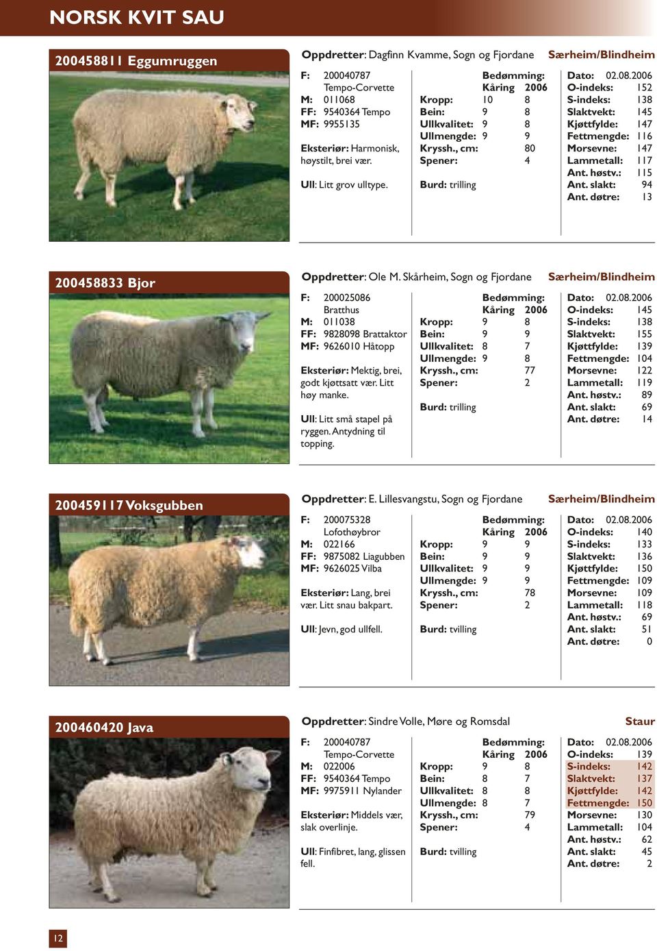 , cm: 80 Særheim/Blindheim O-indeks: 152 S-indeks: 138 Slaktvekt: 145 Kjøttfylde: 147 Fettmengde: 116 Morsevne: 147 Lammetall: 117 Ant. høstv.: 115 Ant. slakt: 94 Ant.