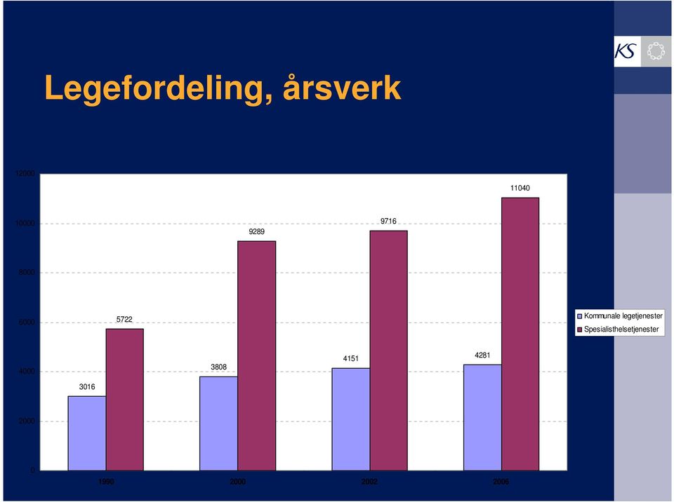 legetjenester Spesialisthelsetjenester