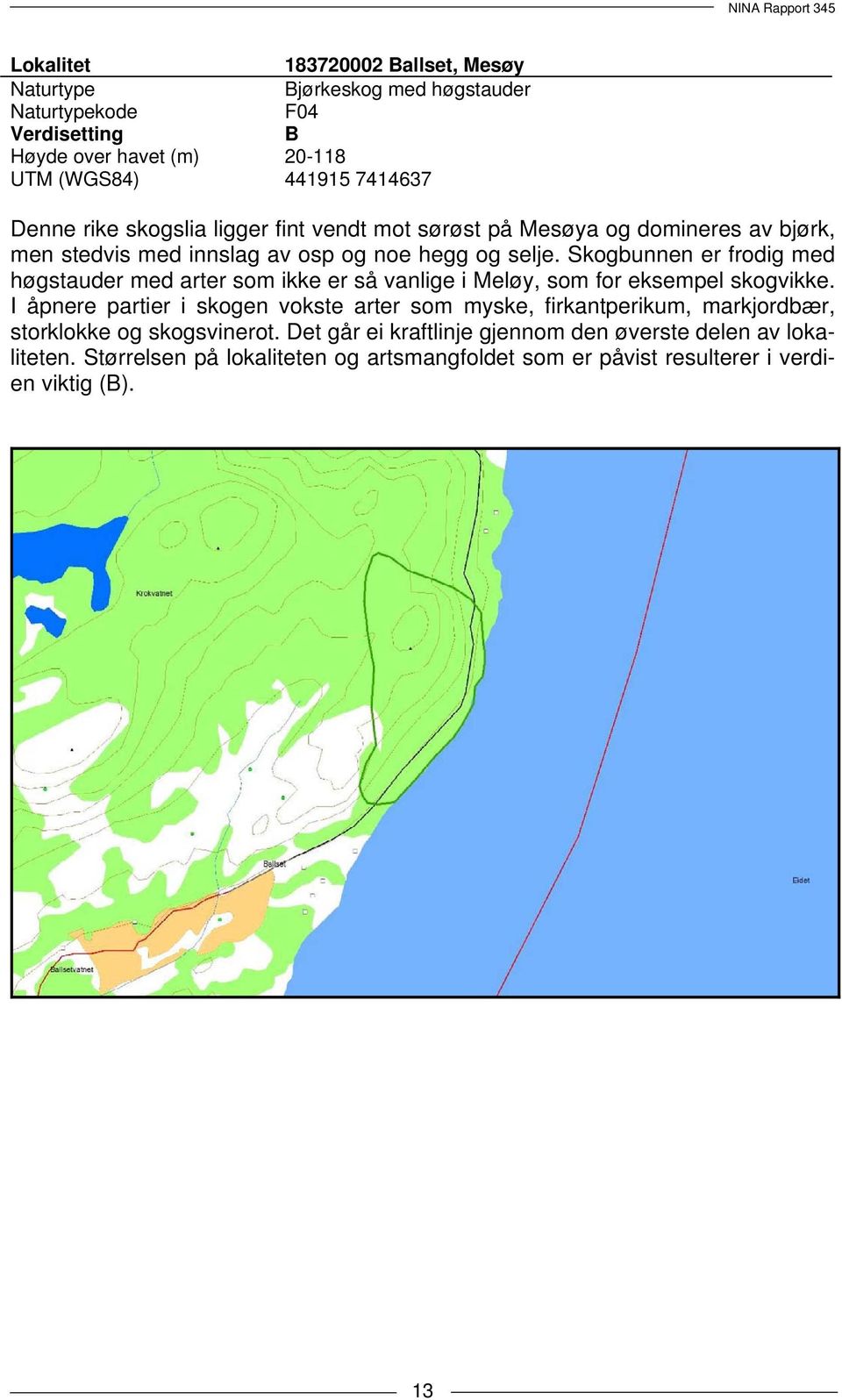 Skogbunnen er frodig med høgstauder med arter som ikke er så vanlige i Meløy, som for eksempel skogvikke.
