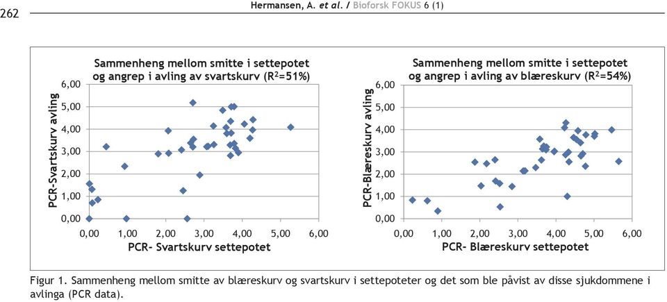 mellom smitte i settepotet og angrep i avling av blæreskurv (R 2 =54%) 0,00 1,00 2,00 3,00 4,00 5,00 6,00 PCR- Blæreskurv settepotet