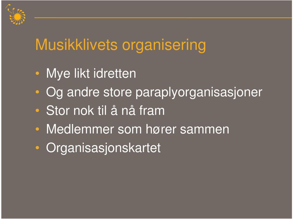 paraplyorganisasjoner Stor nok til å