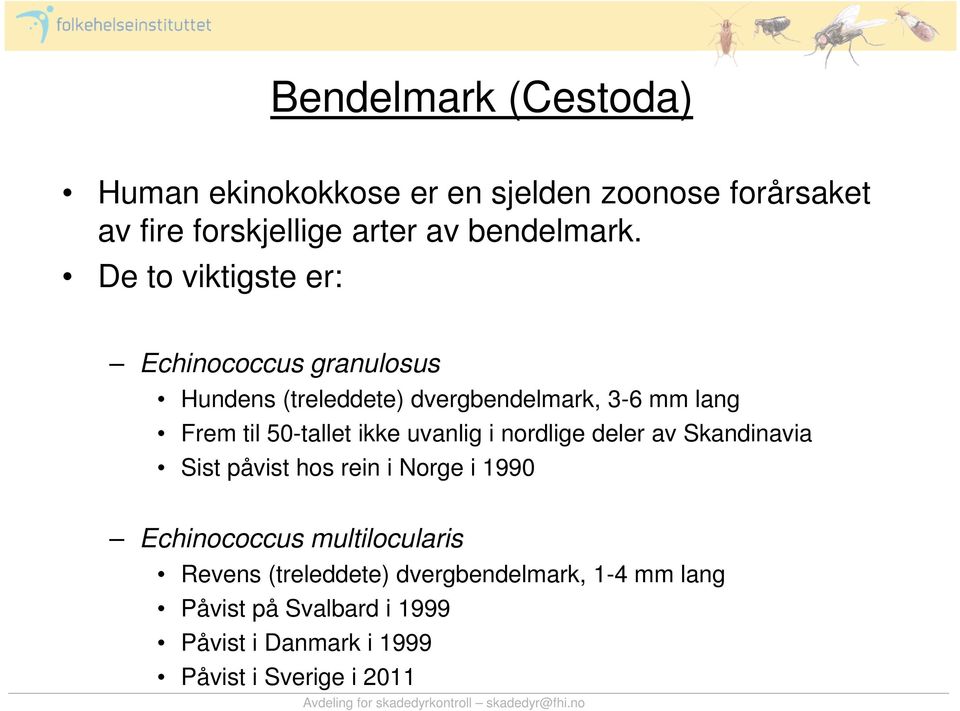 ikke uvanlig i nordlige deler av Skandinavia Sist påvist hos rein i Norge i 1990 Echinococcus multilocularis