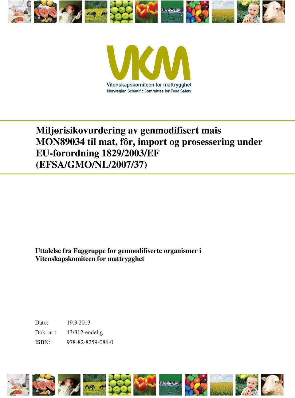 (EFSA/GMO/NL/2007/37) Uttalelse fra Faggruppe for genmodifiserte
