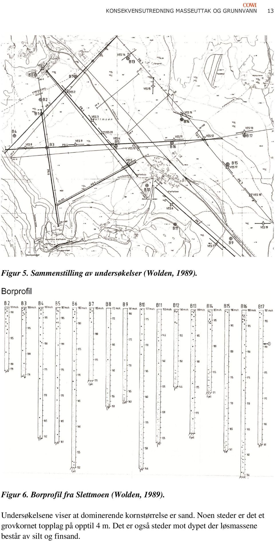 Borprofil fra Slettmoen (Wolden, 1989).