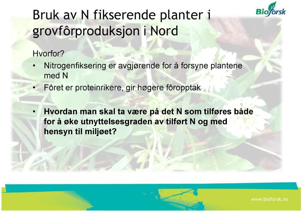 Nitrogenfiksering er avgjørende for å forsyne plantene med N Fôret er